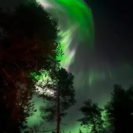 Aurora Luxury Riverside-rovaniemi *